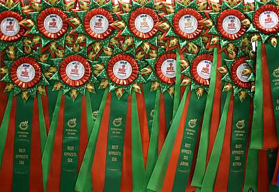 �������� ����� '���-�����-�������' 18-19 ������� 2014