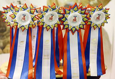 �������� ����� '���-�����-�������' 18-19 ������� 2014