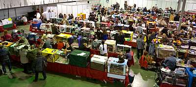 �������� ����� '���-�����-�������' 18-19 ������� 2014 n20141018_153308.jpg