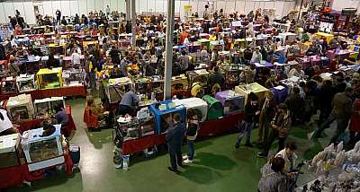 �������� ����� '���-�����-�������' 18-19 ������� 2014 n20141018_153333.jpg