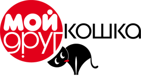 ������ '��� ���� �����'