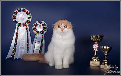 �������� ����� '���-�����-������' 22-23 ������ 2014 IMG_8556.jpg