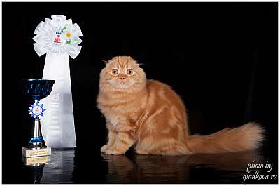 �������� ����� '���-�����-������' 22-23 ������ 2014 IMG_8570.jpg