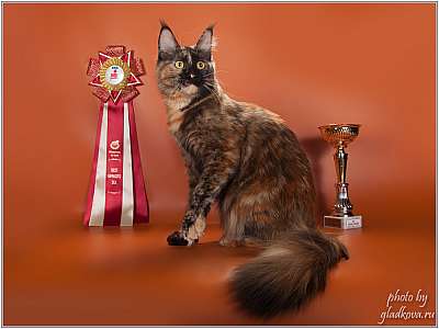 �������� ����� '���-�����-������' 22-23 ������ 2014 IMG_8725.jpg