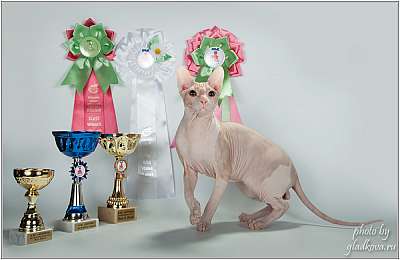 �������� ����� '���-�����-������' 22-23 ������ 2014 IMG_8839.jpg