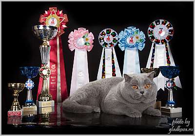 �������� ����� '���-�����-������' 22-23 ������ 2014 IMG_9016.jpg