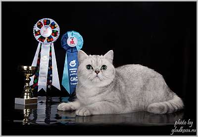 �������� ����� '���-�����-������' 22-23 ������ 2014 IMG_9056.jpg