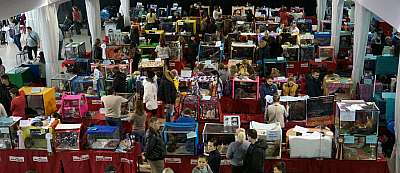 �������� ����� '���-�����-������' 22-23 ������ 2014 n20141123_132904.jpg