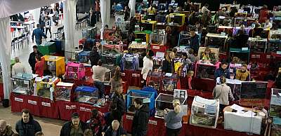 �������� ����� '���-�����-������' 22-23 ������ 2014 n20141123_132909.jpg