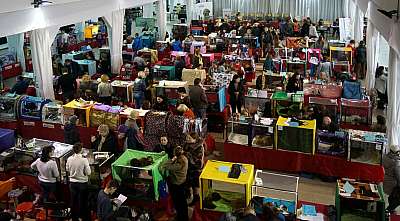 �������� ����� '���-�����-������' 22-23 ������ 2014 n20141123_133119.jpg