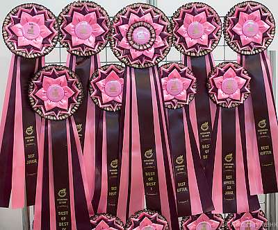 �������� ����� '���-�����-������' 31 ������ - 1 ������� 20150-IMG_4875_900.jpg