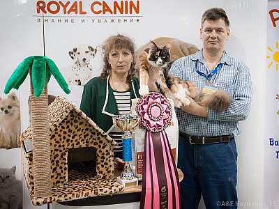 �������� ����� '���-�����-������' 31 ������ - 1 ������� 20151-28-IMG_6445.jpg