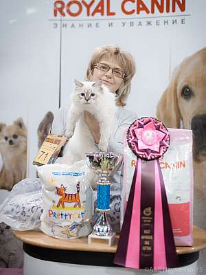 �������� ����� '���-�����-������' 31 ������ - 1 ������� 201511-71-IMG_6198.jpg