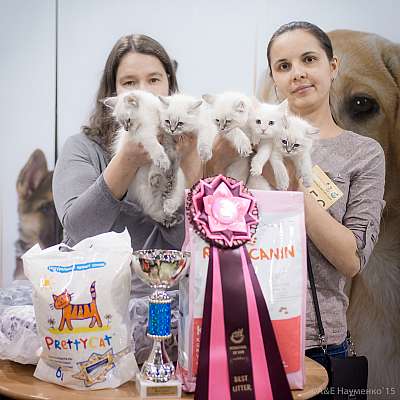 �������� ����� '���-�����-������' 31 ������ - 1 ������� 201512-156-IMG_6158.jpg