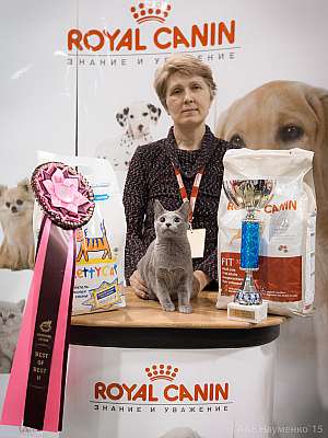 �������� ����� '���-�����-������' 31 ������ - 1 ������� 20152-120-IMG_6438.jpg