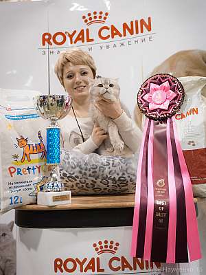 �������� ����� '���-�����-������' 31 ������ - 1 ������� 20153-82-IMG_6428.jpg