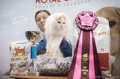 �������� ����� '���-�����-������' 31 ������ - 1 ������� 20157-66-IMG_6343.jpg