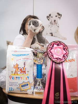 �������� ����� '���-�����-������' 31 ������ - 1 ������� 20158-162-IMG_6284.jpg