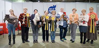 �������� ����� '���-�����-������' 31 ������ - 1 ������� 2015 0-IMG_8143.jpg