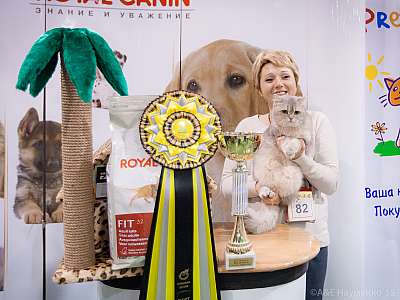 �������� ����� '���-�����-������' 31 ������ - 1 ������� 2015 1-82-IMG_8157.jpg