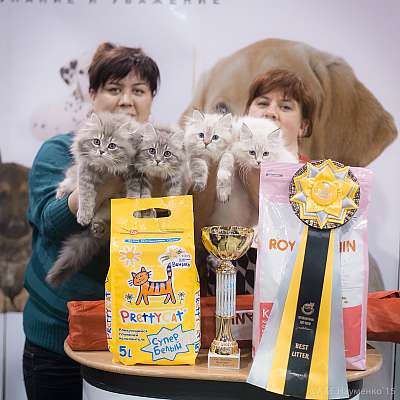 �������� ����� '���-�����-������' 31 ������ - 1 ������� 2015 12-68-IMG_8000.jpg