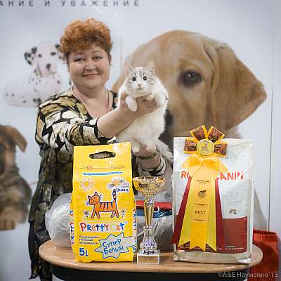 �������� ����� '���-�����-������' 31 ������ - 1 ������� 2015 15-151-IMG_7942.jpg