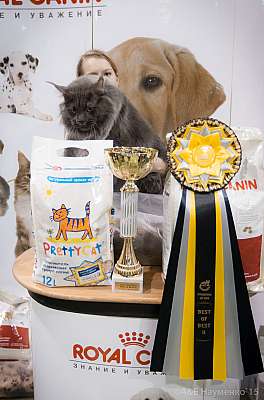 �������� ����� '���-�����-������' 31 ������ - 1 ������� 2015 2-7-IMG_8146.jpg