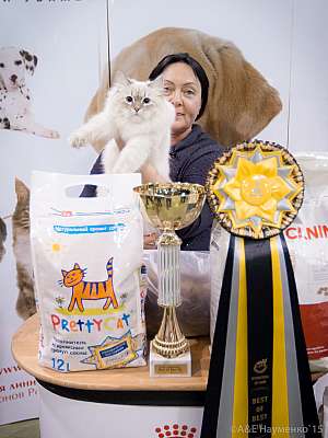 �������� ����� '���-�����-������' 31 ������ - 1 ������� 2015 3-69-IMG_8153.jpg