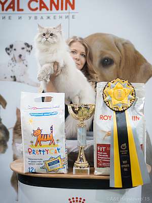 �������� ����� '���-�����-������' 31 ������ - 1 ������� 2015 6-159-IMG_8095.jpg