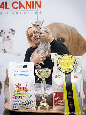 �������� ����� '���-�����-������' 31 ������ - 1 ������� 2015 7-142-IMG_8117.jpg