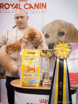 �������� ����� '���-�����-������' 31 ������ - 1 ������� 2015 8-17-IMG_8064.jpg