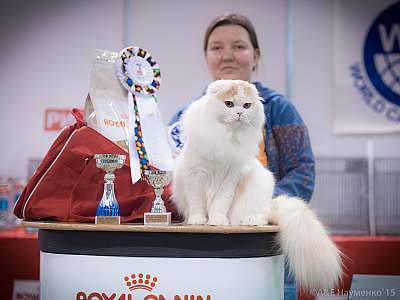 �������� ����� 31 ������ - 1 ������� 2015, ������������ ��� 0-66-IMG_5071.jpg