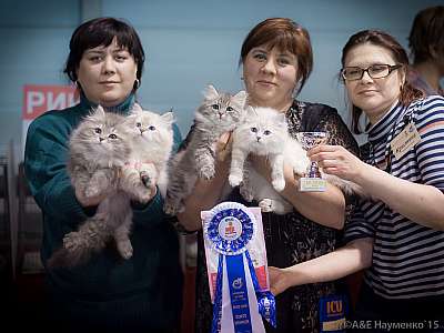 �������� ����� 31 ������ - 1 ������� 2015, ������������ ��� 11-68-IMG_5244.jpg