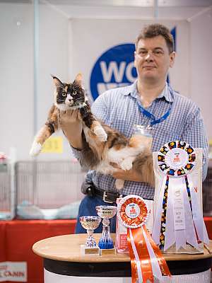 �������� ����� 31 ������ - 1 ������� 2015, ������������ ��� 12-28-IMG_6784.jpg