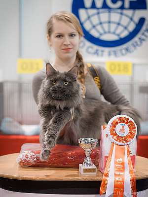 �������� ����� 31 ������ - 1 ������� 2015, ������������ ��� 13-7-IMG_6786.jpg