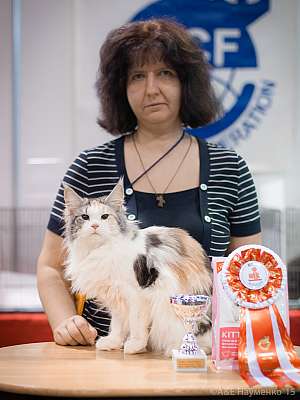 �������� ����� 31 ������ - 1 ������� 2015, ������������ ��� 14-40-IMG_6675.jpg