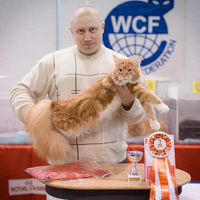 �������� ����� 31 ������ - 1 ������� 2015, ������������ ��� 15-17-IMG_6679.jpg