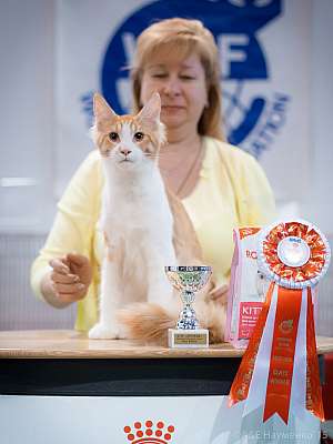 �������� ����� 31 ������ - 1 ������� 2015, ������������ ��� 16-16-IMG_6605.jpg