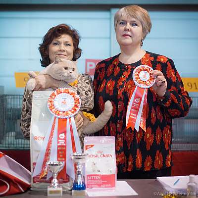 �������� ����� 31 ������ - 1 ������� 2015, ������������ ��� 19-88-IMG_6801.jpg