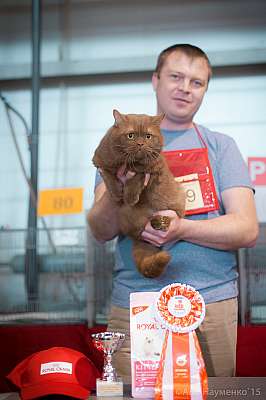 �������� ����� 31 ������ - 1 ������� 2015, ������������ ��� 20-99-IMG_6813.jpg