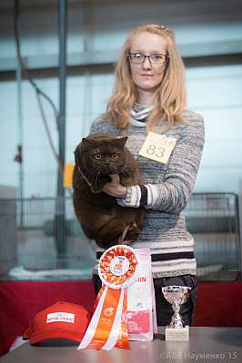 �������� ����� 31 ������ - 1 ������� 2015, ������������ ��� 22-83-IMG_6812.jpg