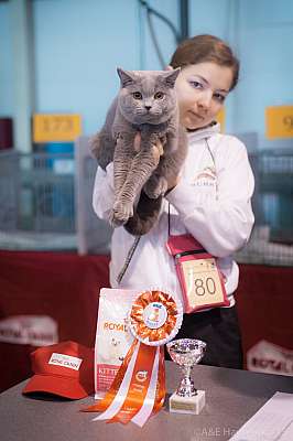 �������� ����� 31 ������ - 1 ������� 2015, ������������ ��� 23-80-IMG_6804.jpg