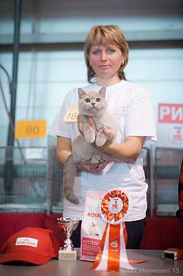 �������� ����� 31 ������ - 1 ������� 2015, ������������ ��� 24-169-IMG_6809.jpg