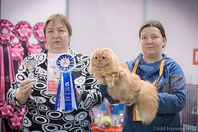 �������� ����� 31 ������ - 1 ������� 2015, ������������ ��� 3-65-IMG_5061.jpg