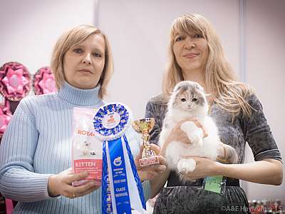 �������� ����� 31 ������ - 1 ������� 2015, ������������ ��� 4-67-IMG_5055.jpg