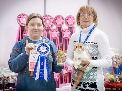 �������� ����� 31 ������ - 1 ������� 2015, ������������ ��� 4a-IMG_5063.jpg