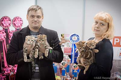 �������� ����� 31 ������ - 1 ������� 2015, ������������ ��� 5-130-IMG_5058.jpg