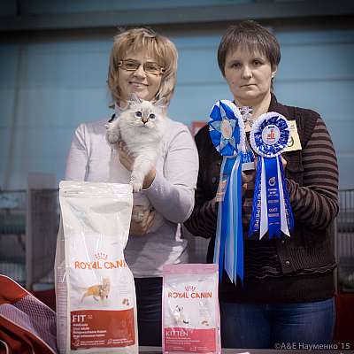 �������� ����� 31 ������ - 1 ������� 2015, ������������ ��� 6-71-IMG_5262.jpg