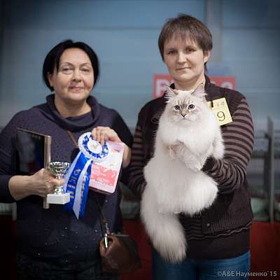 �������� ����� 31 ������ - 1 ������� 2015, ������������ ��� 8-69-IMG_5259.jpg