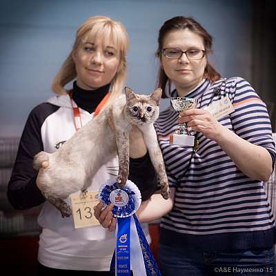 �������� ����� 31 ������ - 1 ������� 2015, ������������ ��� 9-138-IMG_5250.jpg